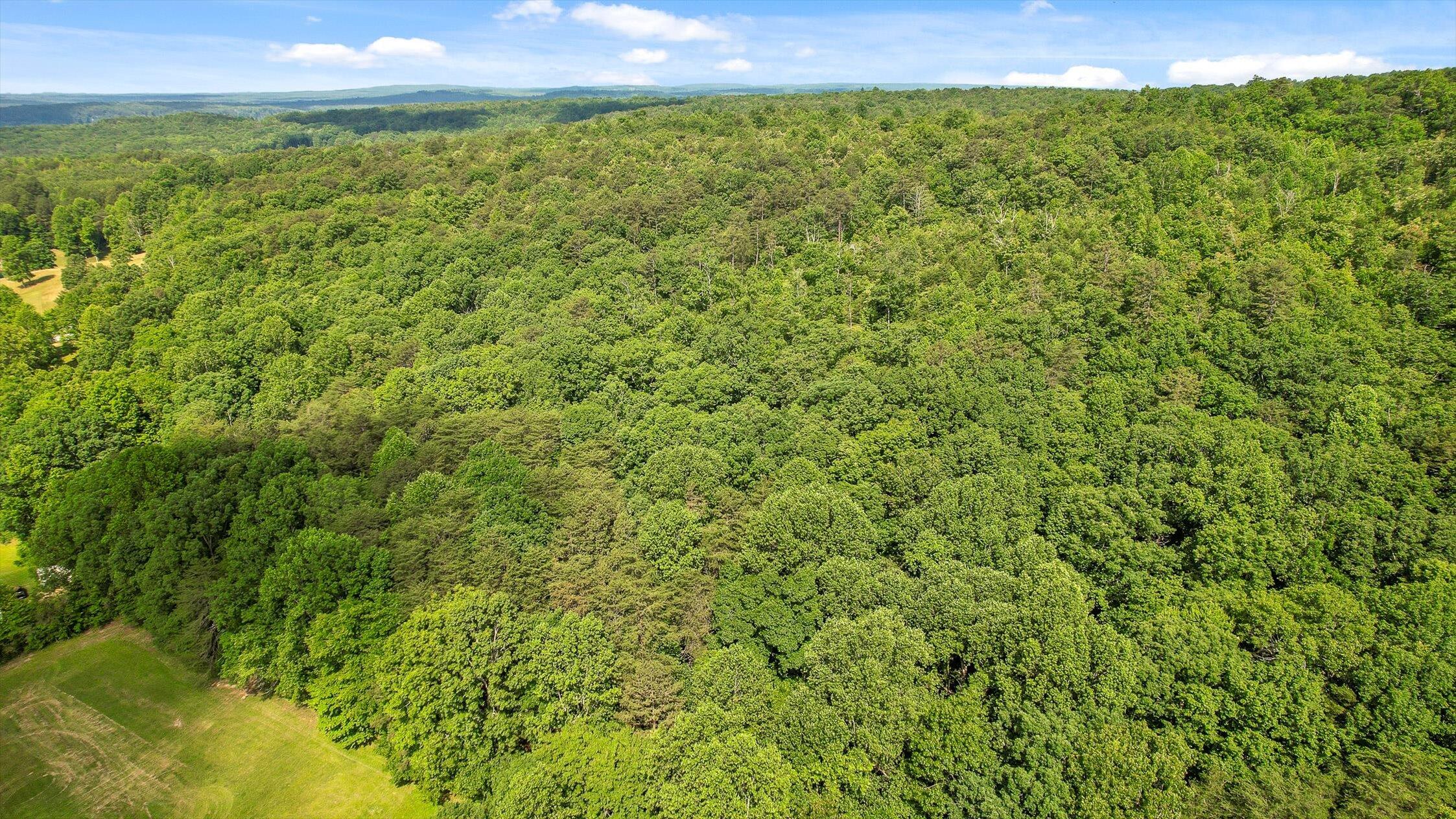 4300 Pocket Road Whitwell, TN 37397 - Photo 21 of 33 20-Pocket-20