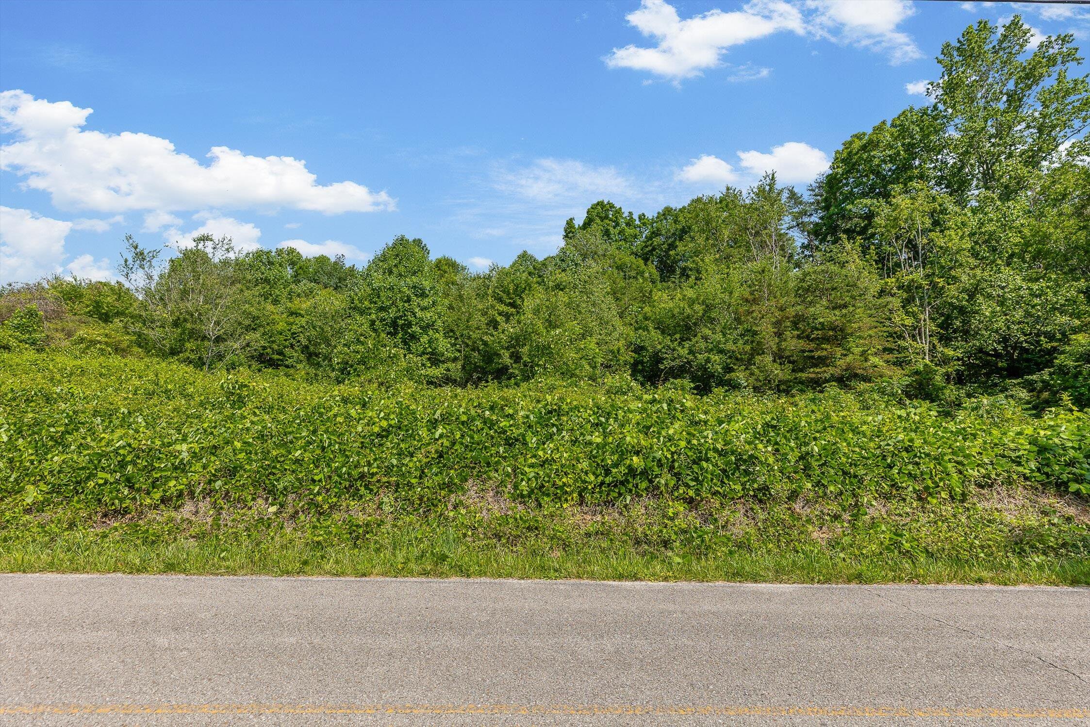 4300 Pocket Road Whitwell, TN 37397 - Photo 22 of 33 21-Pocket-21