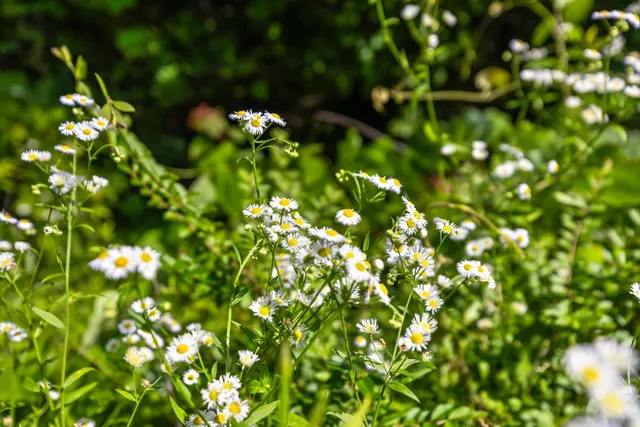 $150,000 | 4300 Pocket Road, Whitwell, TN 37397