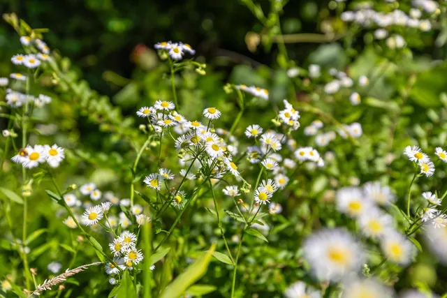 $150,000 | 4300 Pocket Road, Whitwell, TN 37397