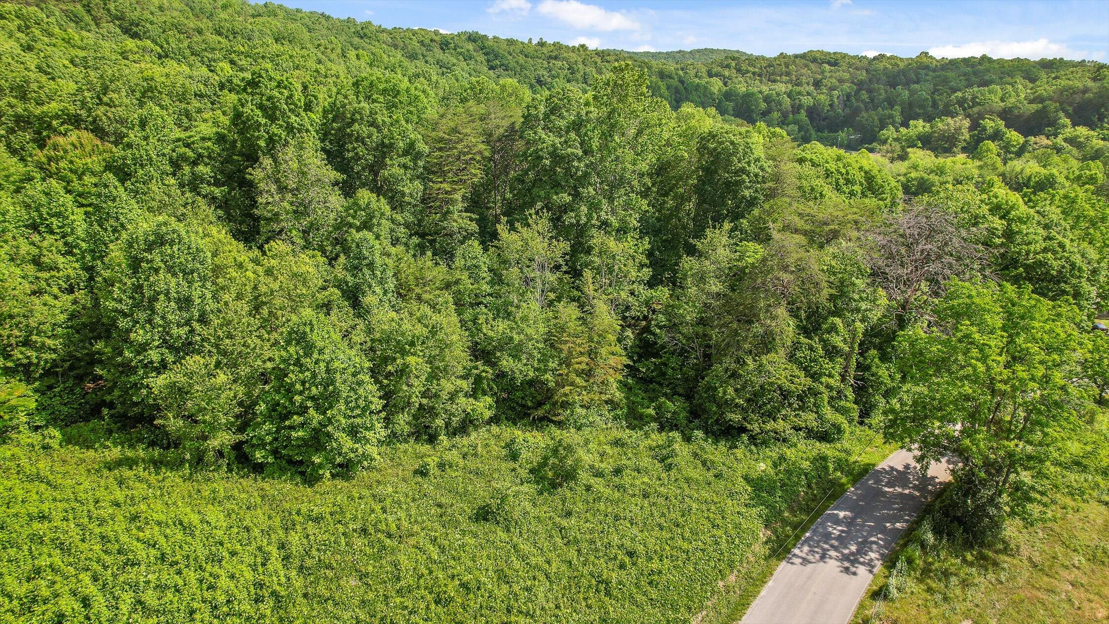 4300 Pocket Road Whitwell, TN 37397 - Photo 26 of 33 25-Pocket-25