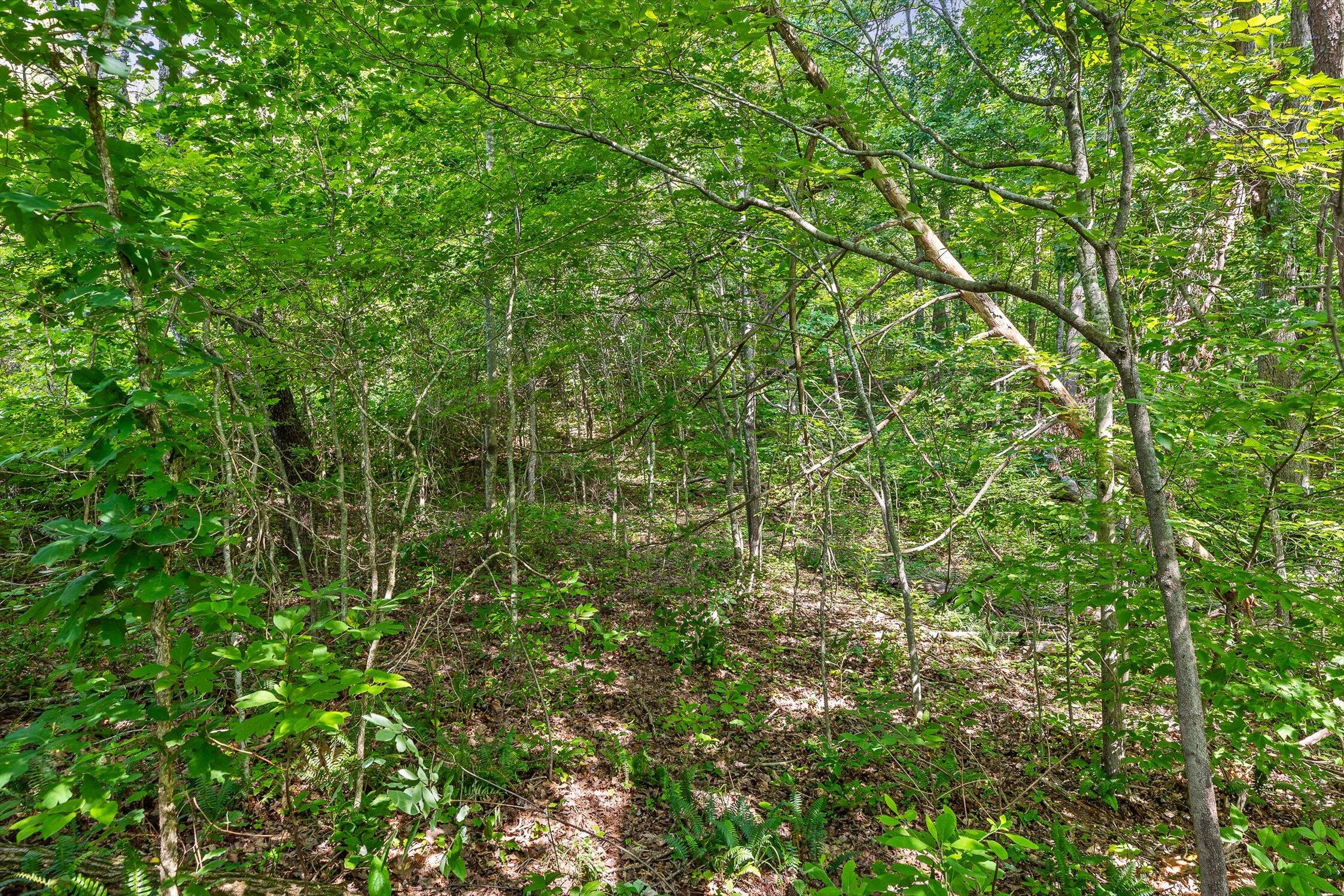 4300 Pocket Road Whitwell, TN 37397 - Photo 28 of 33 27-Pocket-27