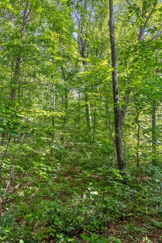 $150,000 | 4300 Pocket Road, Whitwell, TN 37397