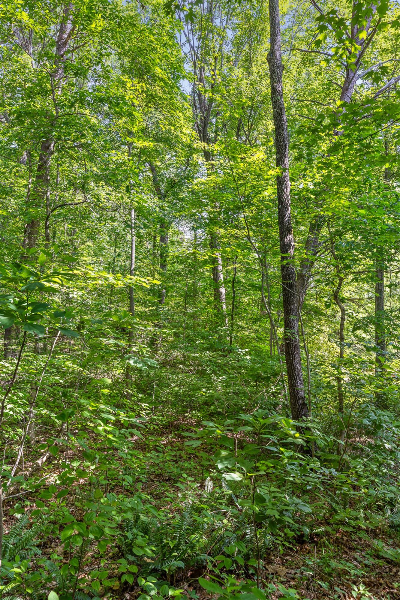 4300 Pocket Road Whitwell, TN 37397 - Photo 29 of 33 28-Pocket-28