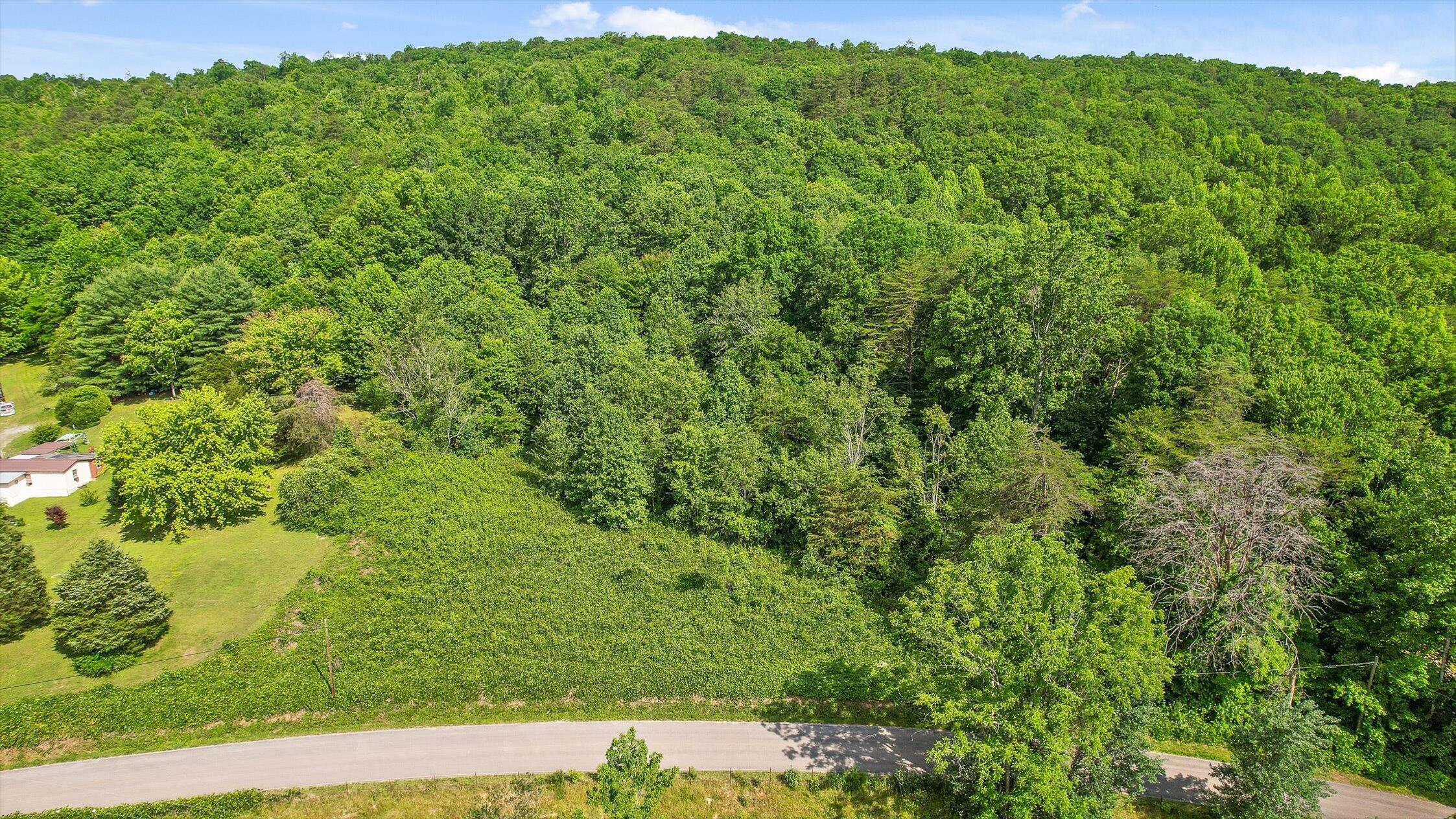 4300 Pocket Road Whitwell, TN 37397 - Photo 3 of 33 02-Pocket-2