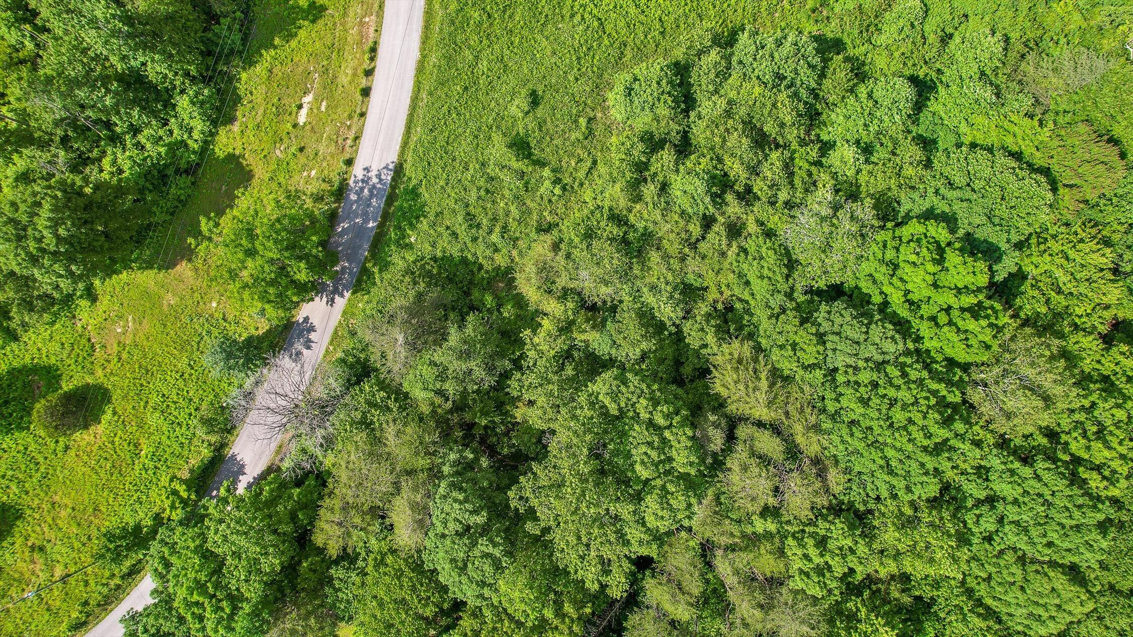 4300 Pocket Road Whitwell, TN 37397 - Photo 5 of 33 04-Pocket-4