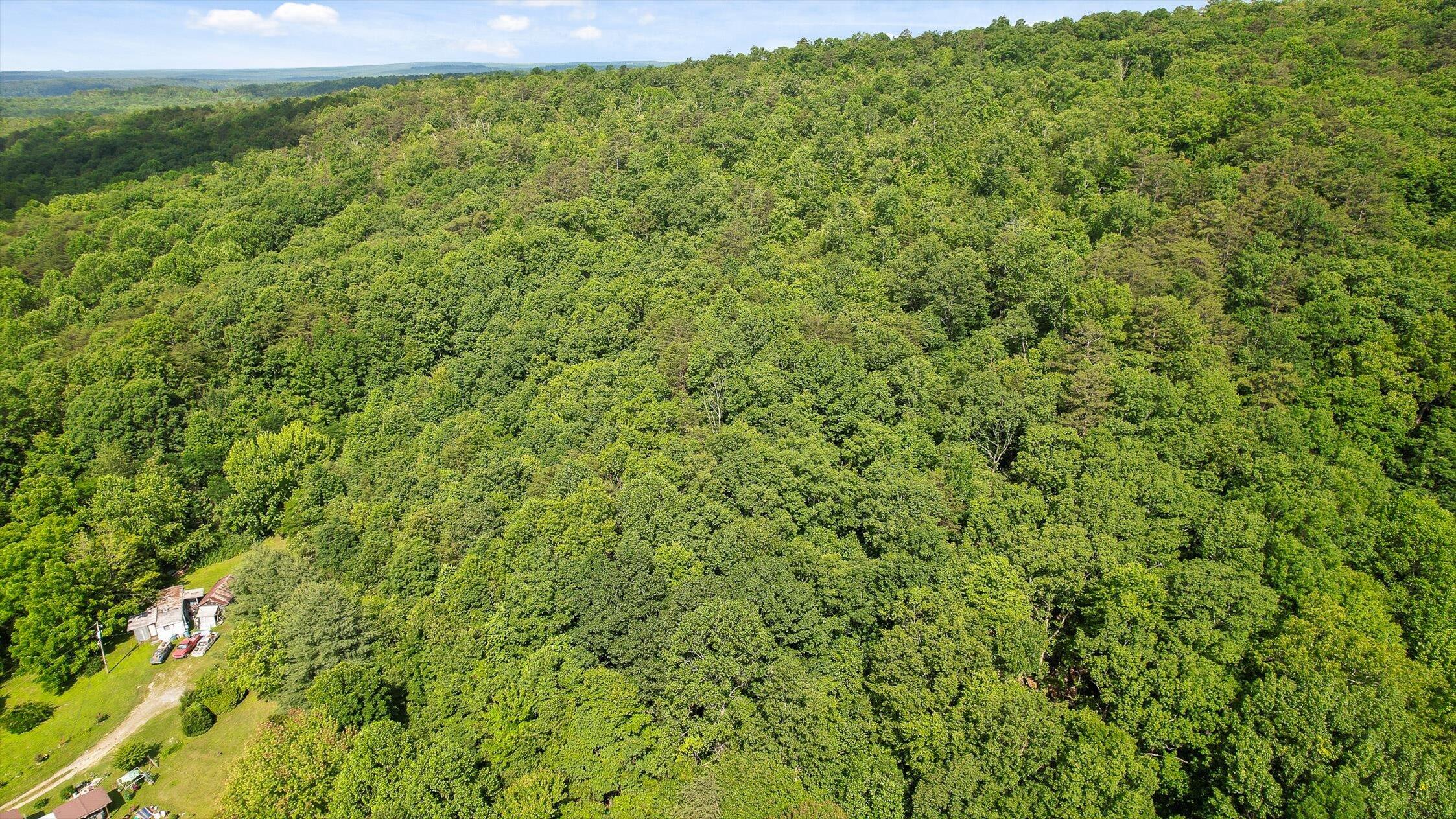 4300 Pocket Road Whitwell, TN 37397 - Photo 6 of 33 05-Pocket-5