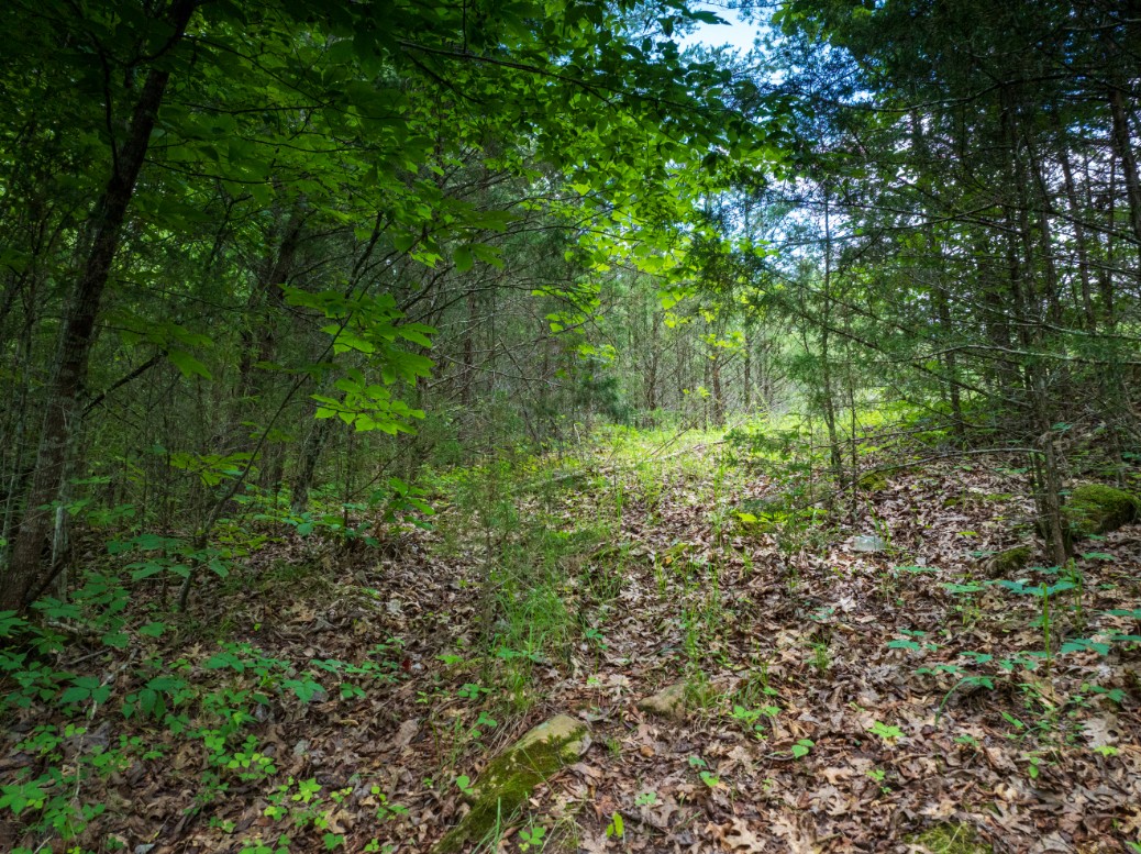 0 Round Barn Road Powder Springs, TN 37848 - Photo 10 of 40