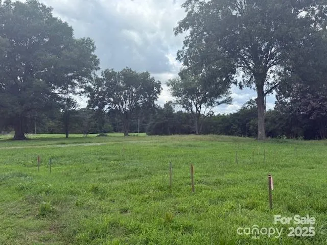 a view of yard with green space