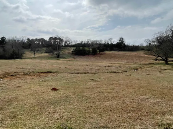 $115,000 | 101 County Road 3504, Bullard, TX 75757