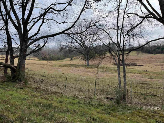 a view of a yard with trees