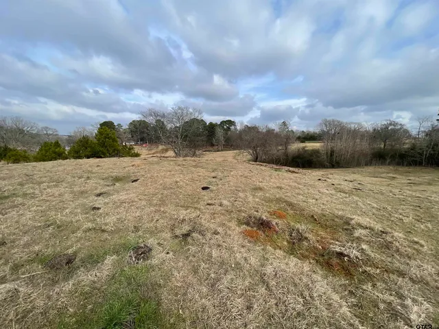 a view of a yard with trees in the background