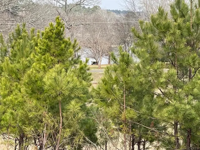 $133,000 | 101 County Road 3504, Bullard, TX 75757