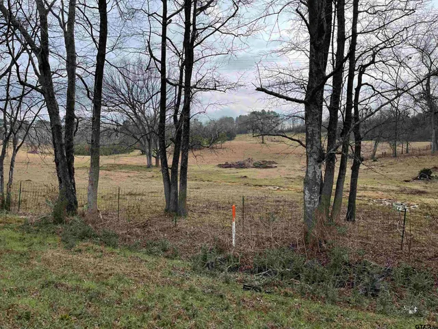 a view of a lake view with houses in back