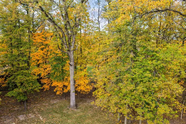 $725,000 | 26961 South Sylvan Lane, Monee, IL 60449