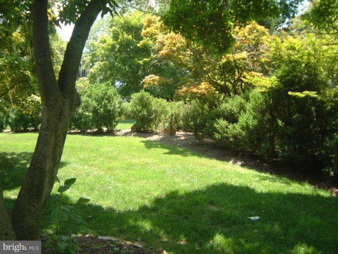 13919 Overton Lane Silver Spring, MD 20904 - Photo 8 of 16 a yard with a trees
