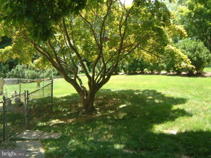 13919 Overton Lane Silver Spring, MD 20904 - Photo 10 of 16 a view of yard with green space