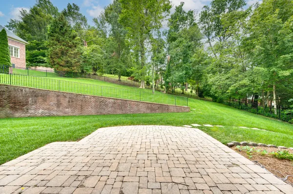 a view of a park with plants and trees