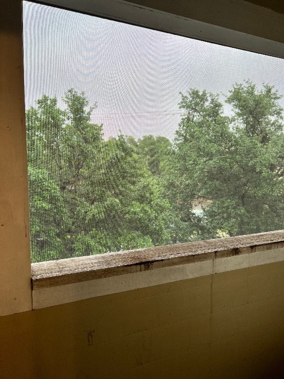 2510 San Gabriel Street, Unit 301 Austin, TX 78705 - Photo 14 of 22 a view of a lake from a window