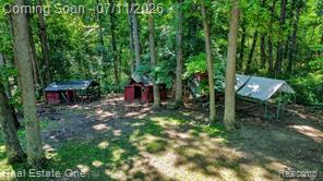 310 South Van Road Holly, MI 48442 - Photo 49 of 67