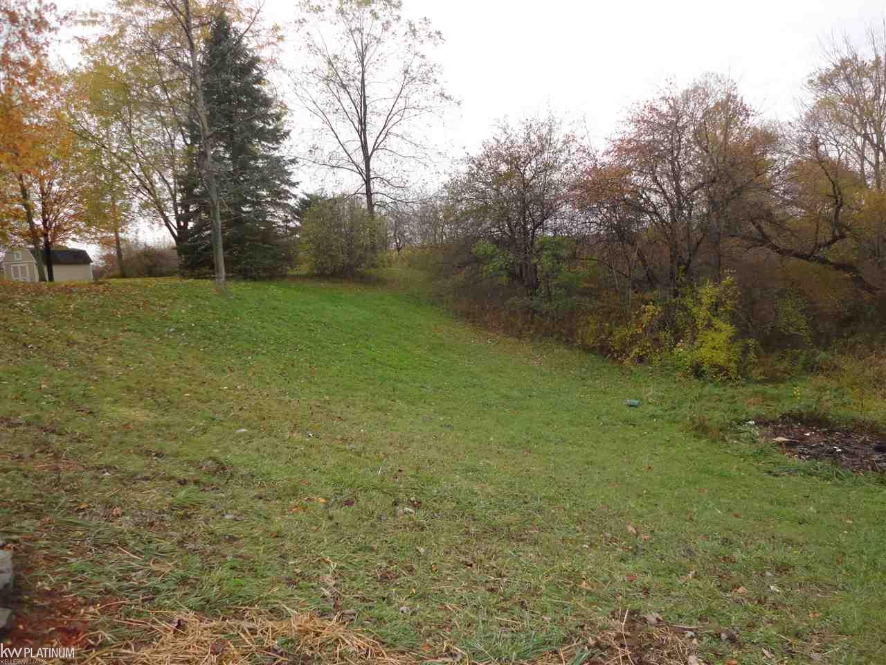 0 Sparling Road Smiths Creek, MI 48074 - Photo 1 of 2
