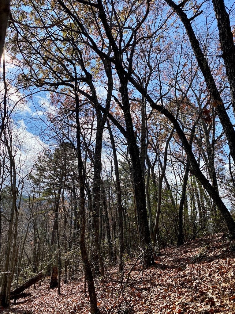Foley Road Stuart, VA 24171 - Photo 23 of 31 Gallery Image 23