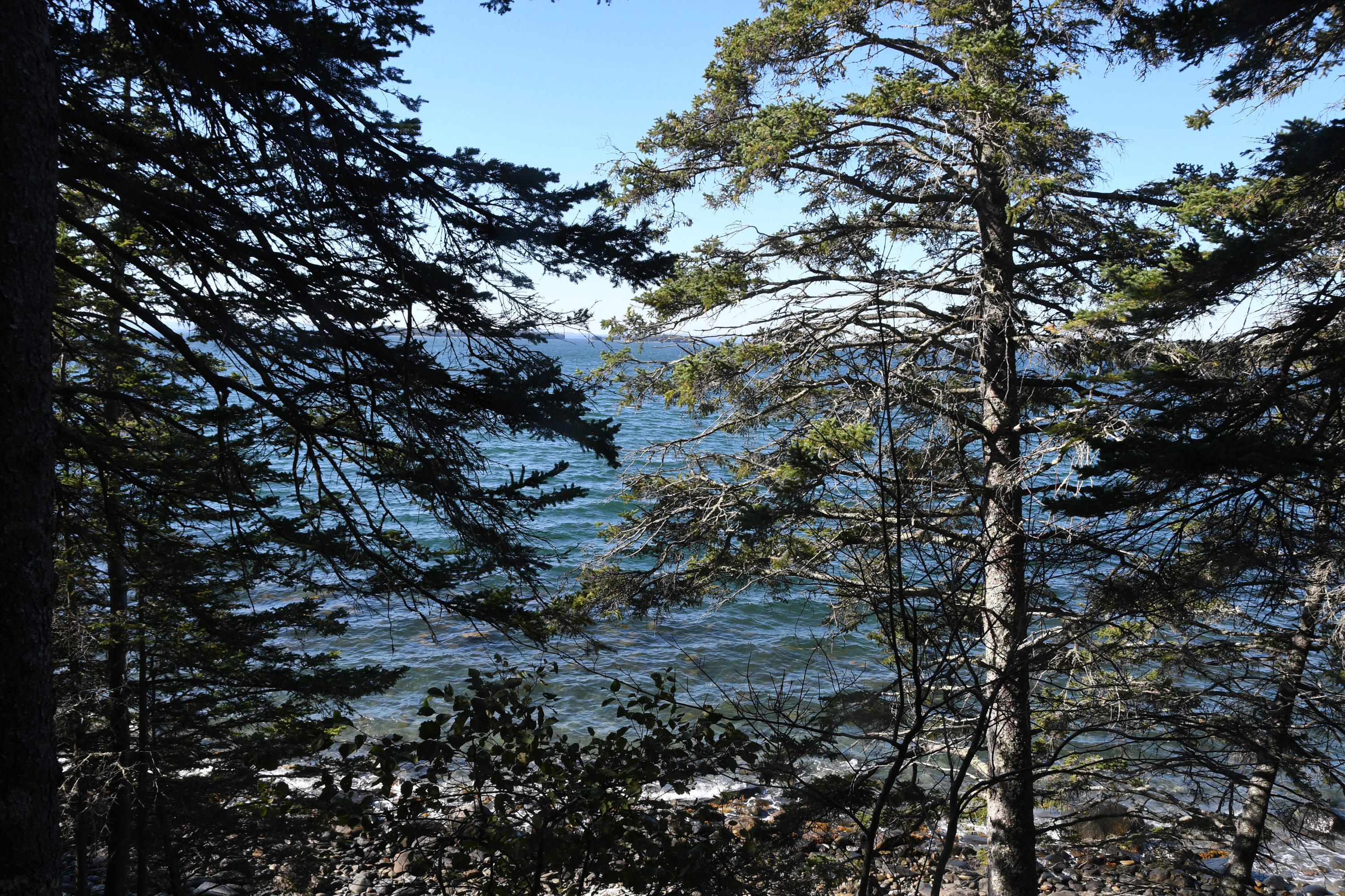 01 North Deer Isle Road Deer Isle, ME 04627 - Photo 30 of 34 20171021_AnneKeck_032