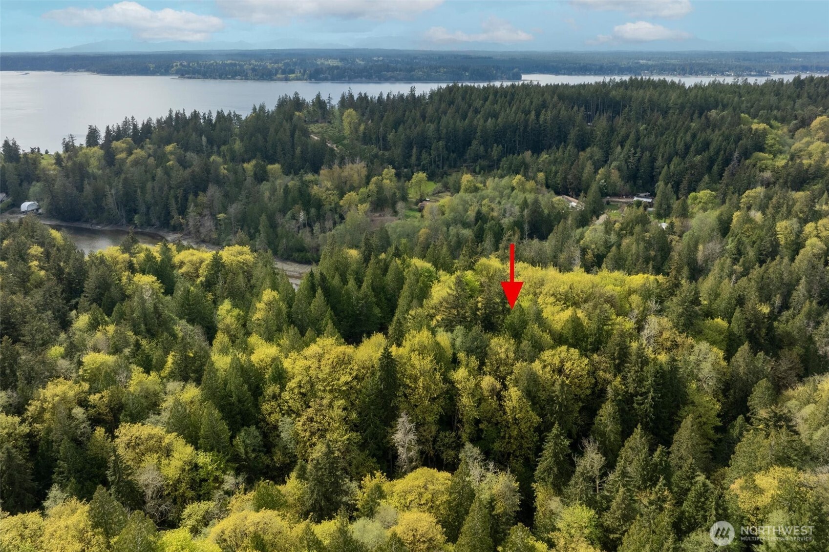 0 Reynolds Road Northwest Vaughn, WA 98394 - Photo 11 of 12