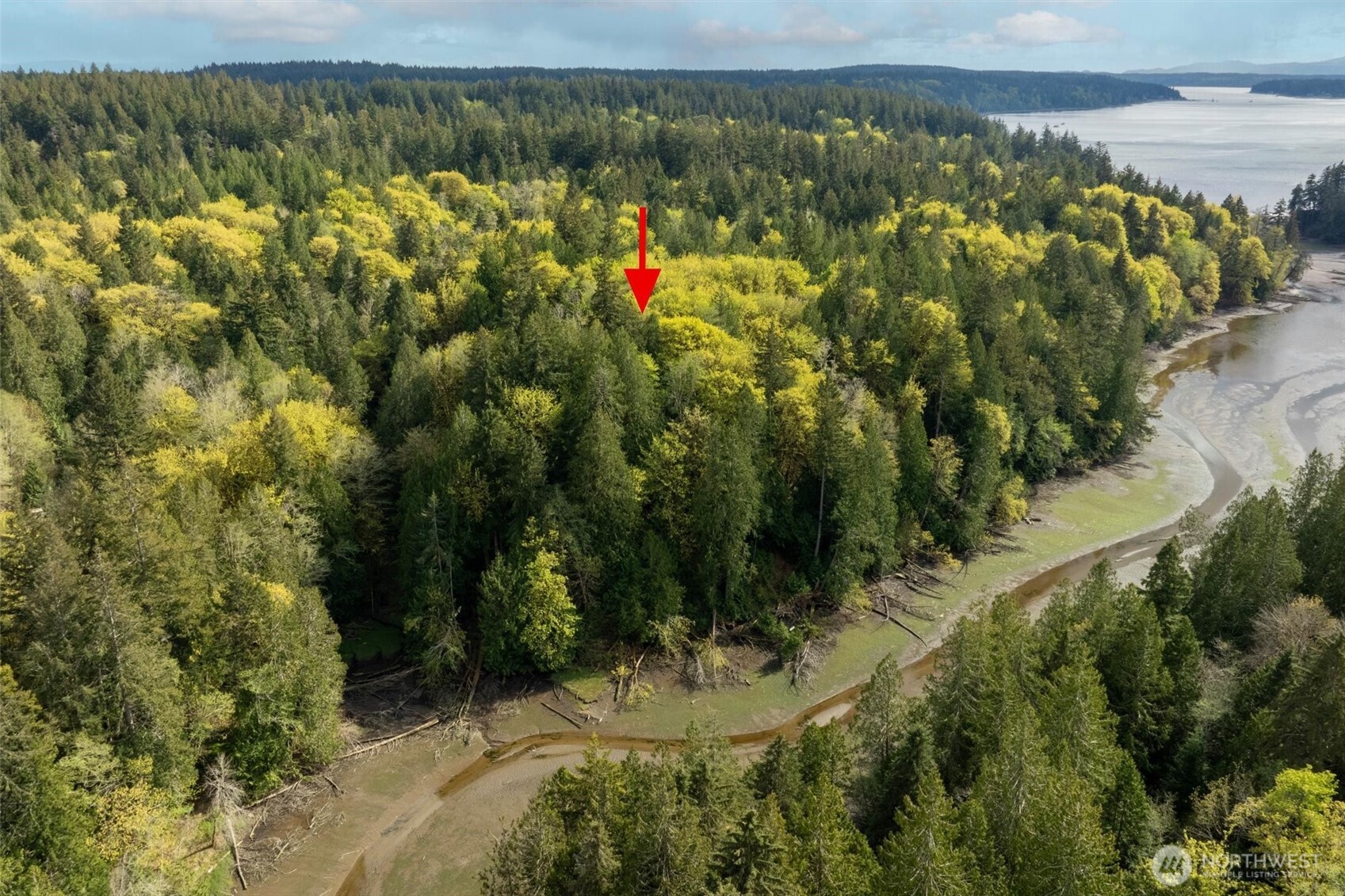 0 Reynolds Road Northwest Vaughn, WA 98394 - Photo 4 of 12