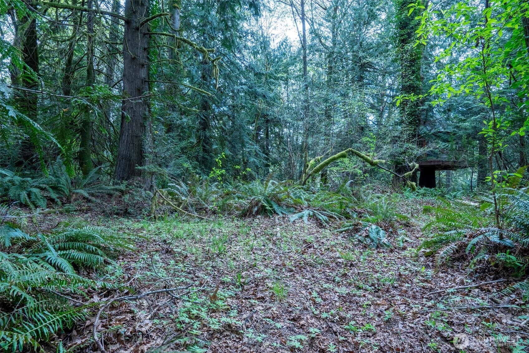 0 Reynolds Road Northwest Vaughn, WA 98394 - Photo 9 of 12