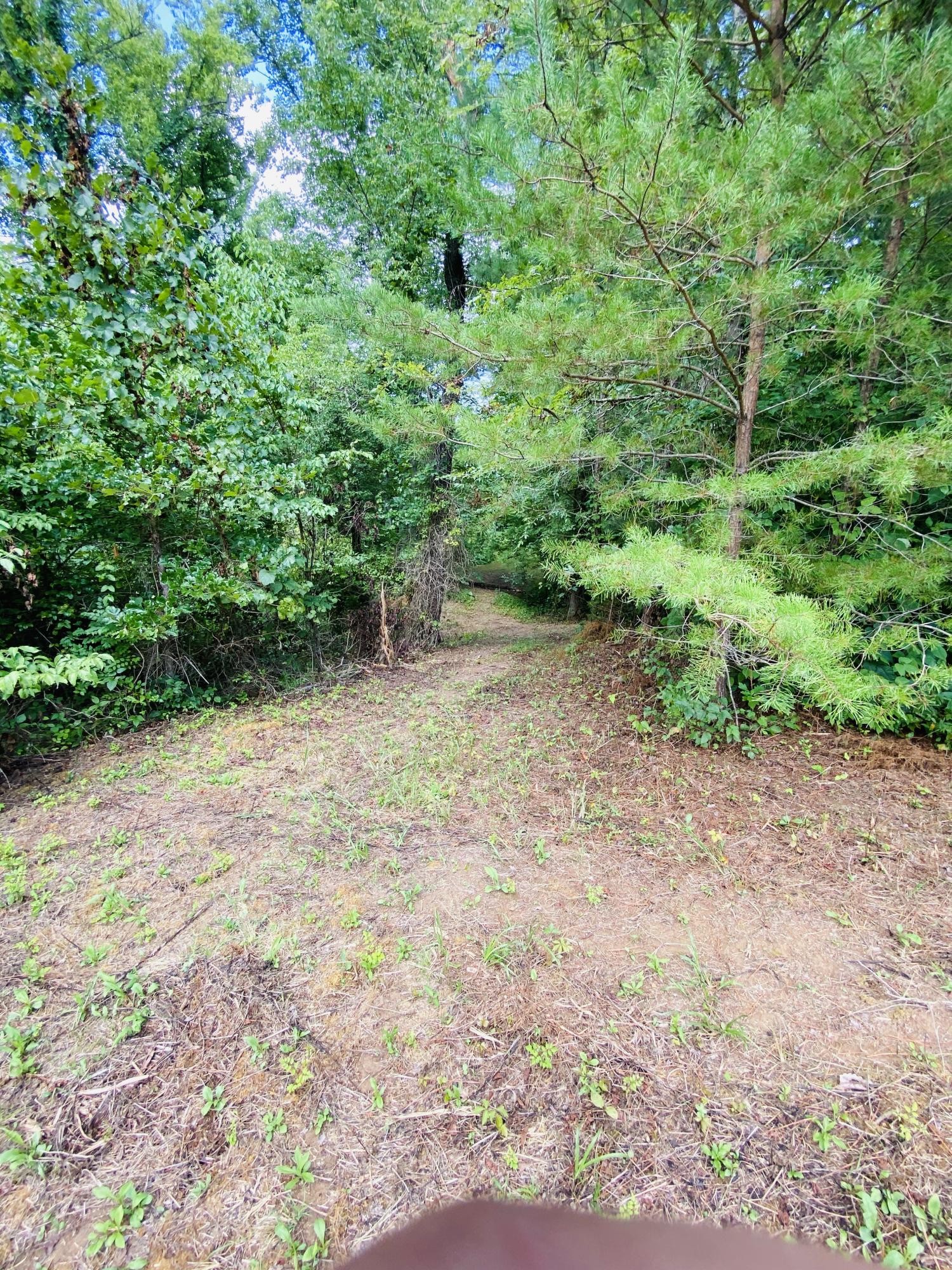 0 Powdermill Drive Tellico Plains, TN 37385 - Photo 3 of 15 Gallery Image 3
