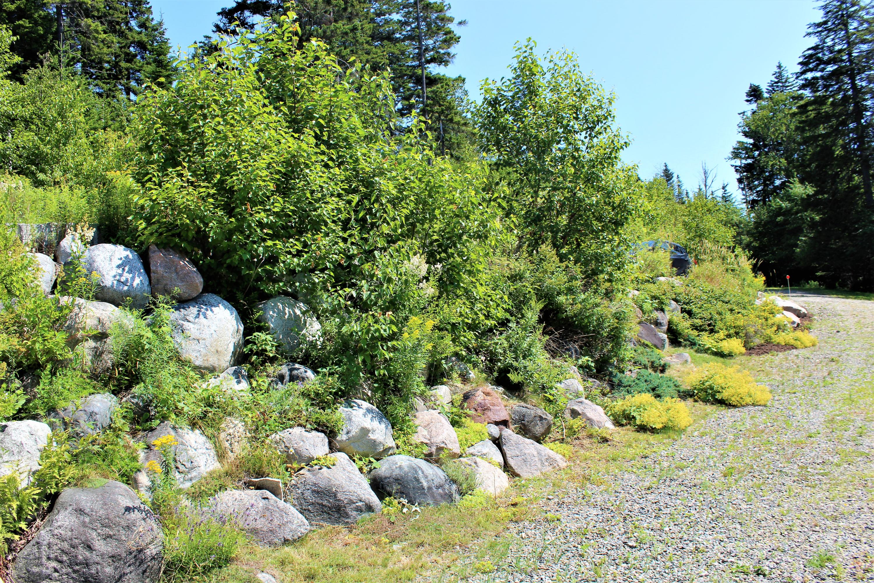 115 Chambers Point Road Roque Bluffs, ME 04654 - Photo 70 of 71 IMG_0702 (2)