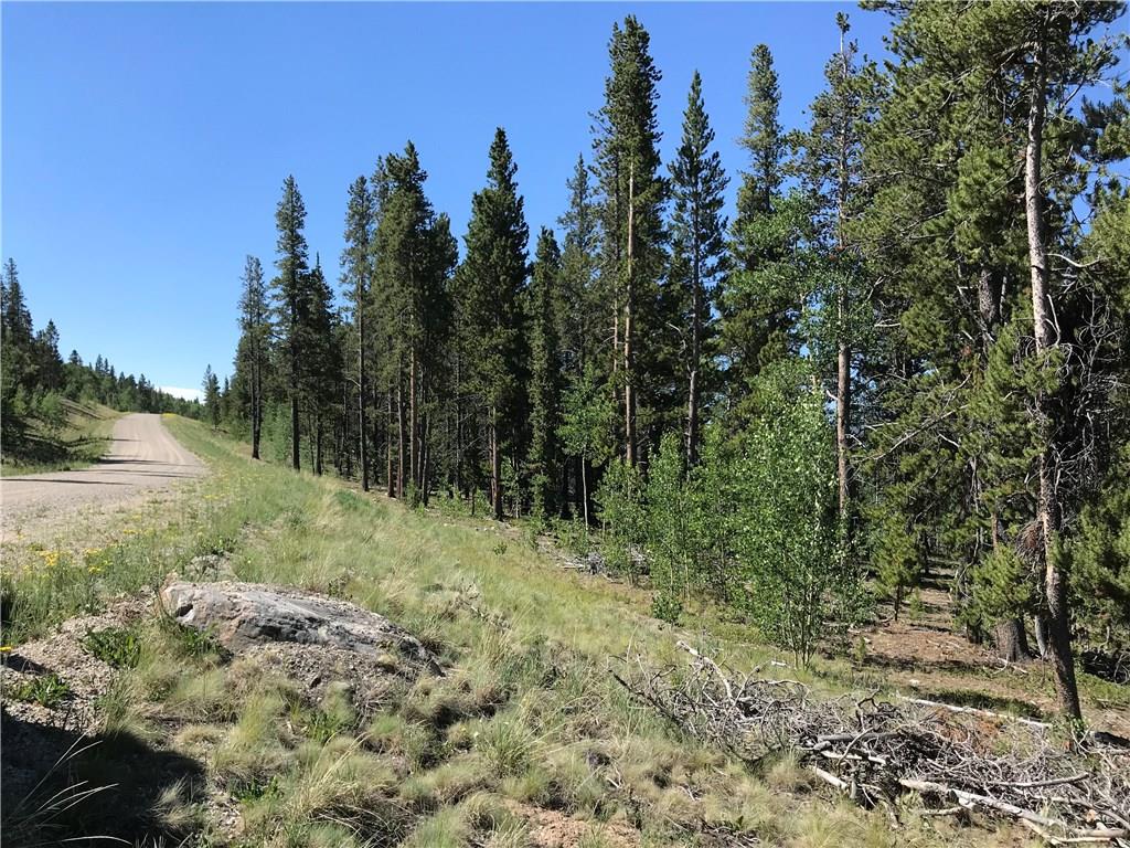 Lot 46 Glacier Ridge Road Alma, CO 80420 - Photo 9 of 10 Gallery Image 9