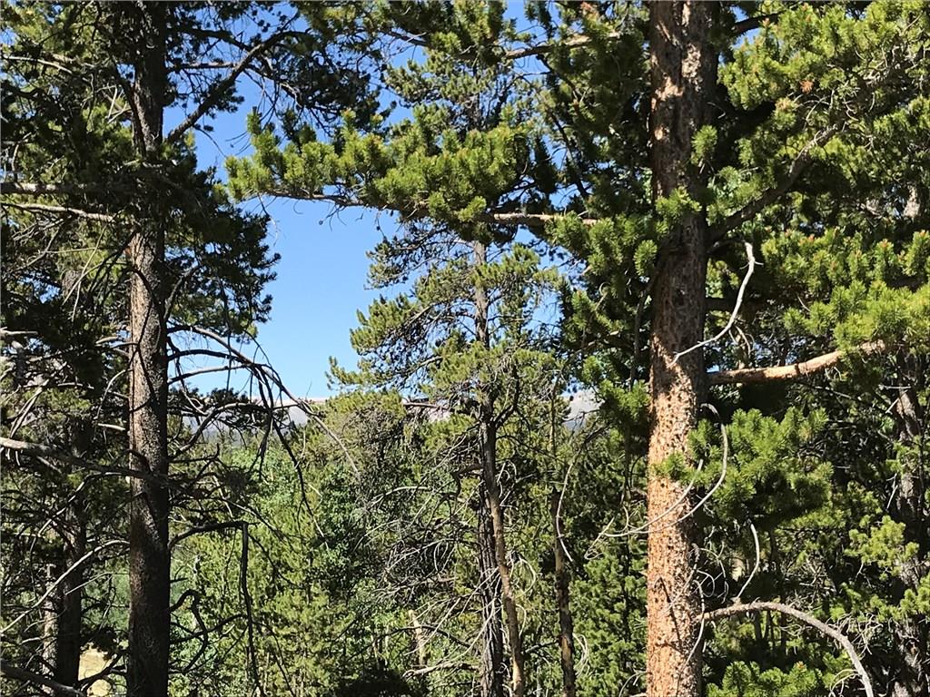 Lot 46 Glacier Ridge Road Alma, CO 80420 - Photo 10 of 10 Gallery Image 10
