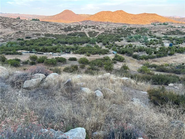 a view of a forest with mountains in the background