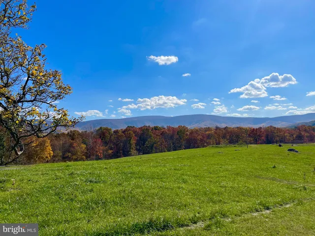 a view of an ocean from a yard