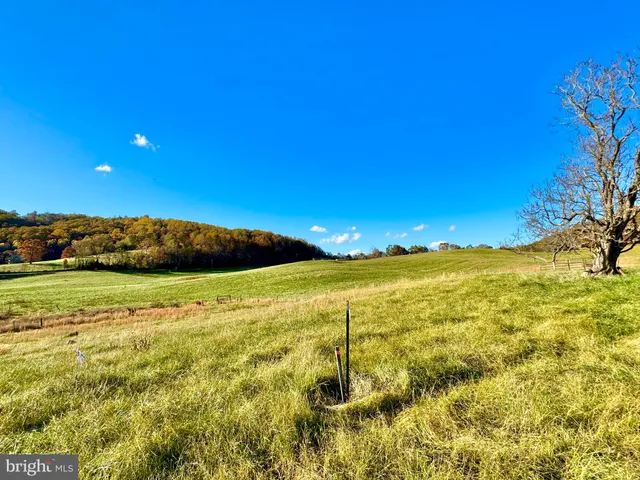 $215,600 | Lot 63 Buck Mountain Road, Bentonville, VA 22610