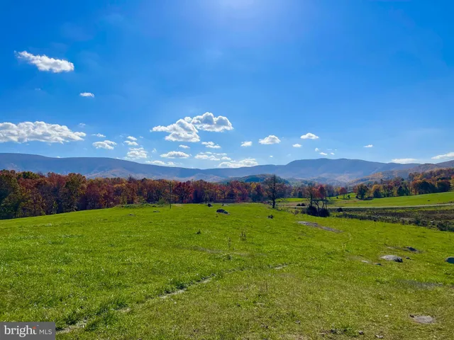 a yard with lots of green space houses and lake view