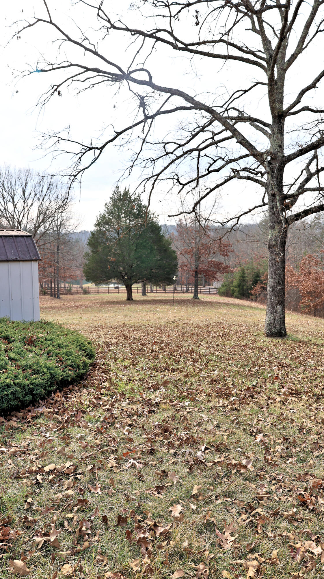 3940 Flatwoods Road Elliston, VA 24087 - Photo 54 of 70 a backyard of a house with lots of green space