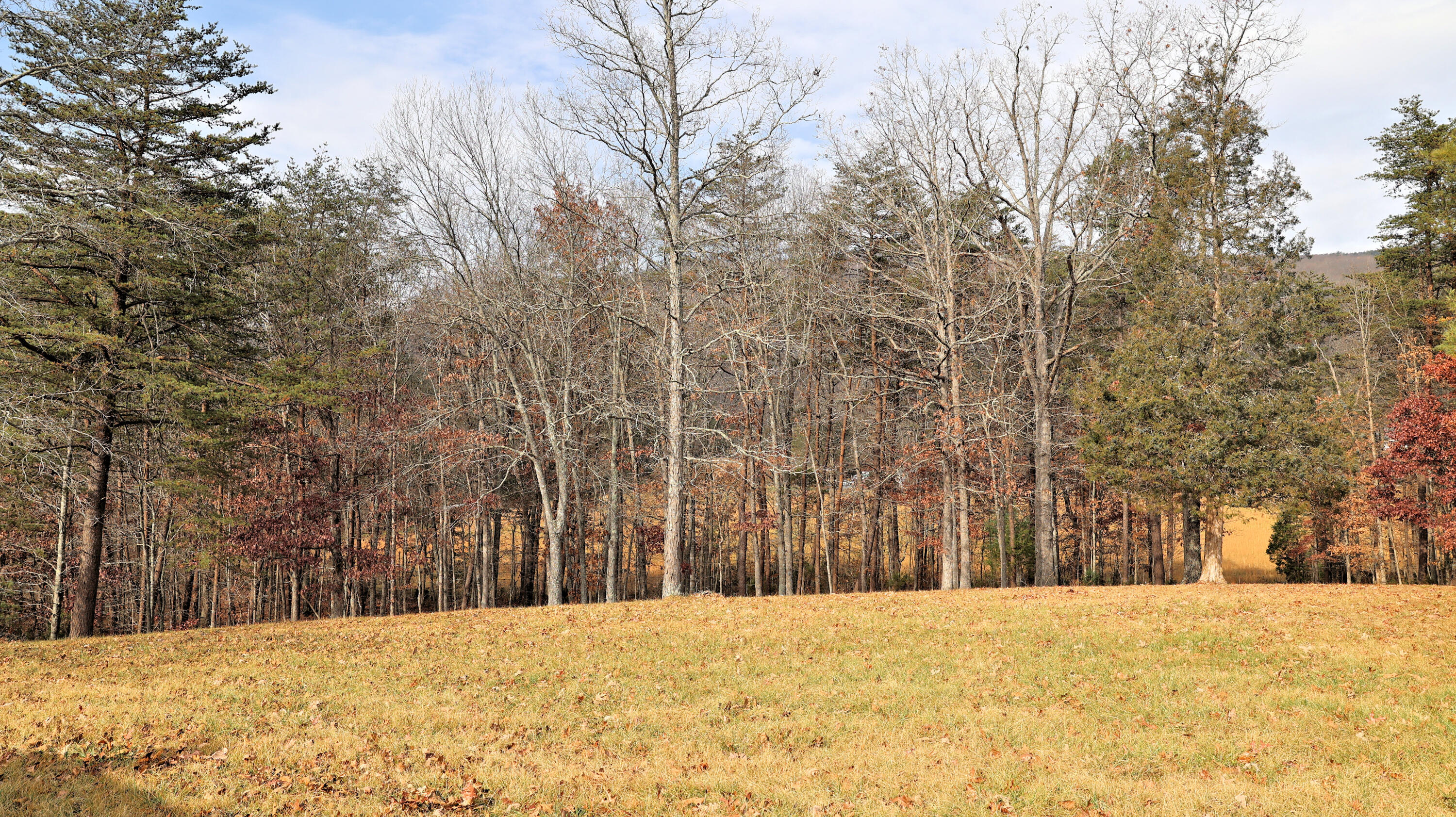 3940 Flatwoods Road Elliston, VA 24087 - Photo 56 of 70 a view of large space covered with snow in front of house