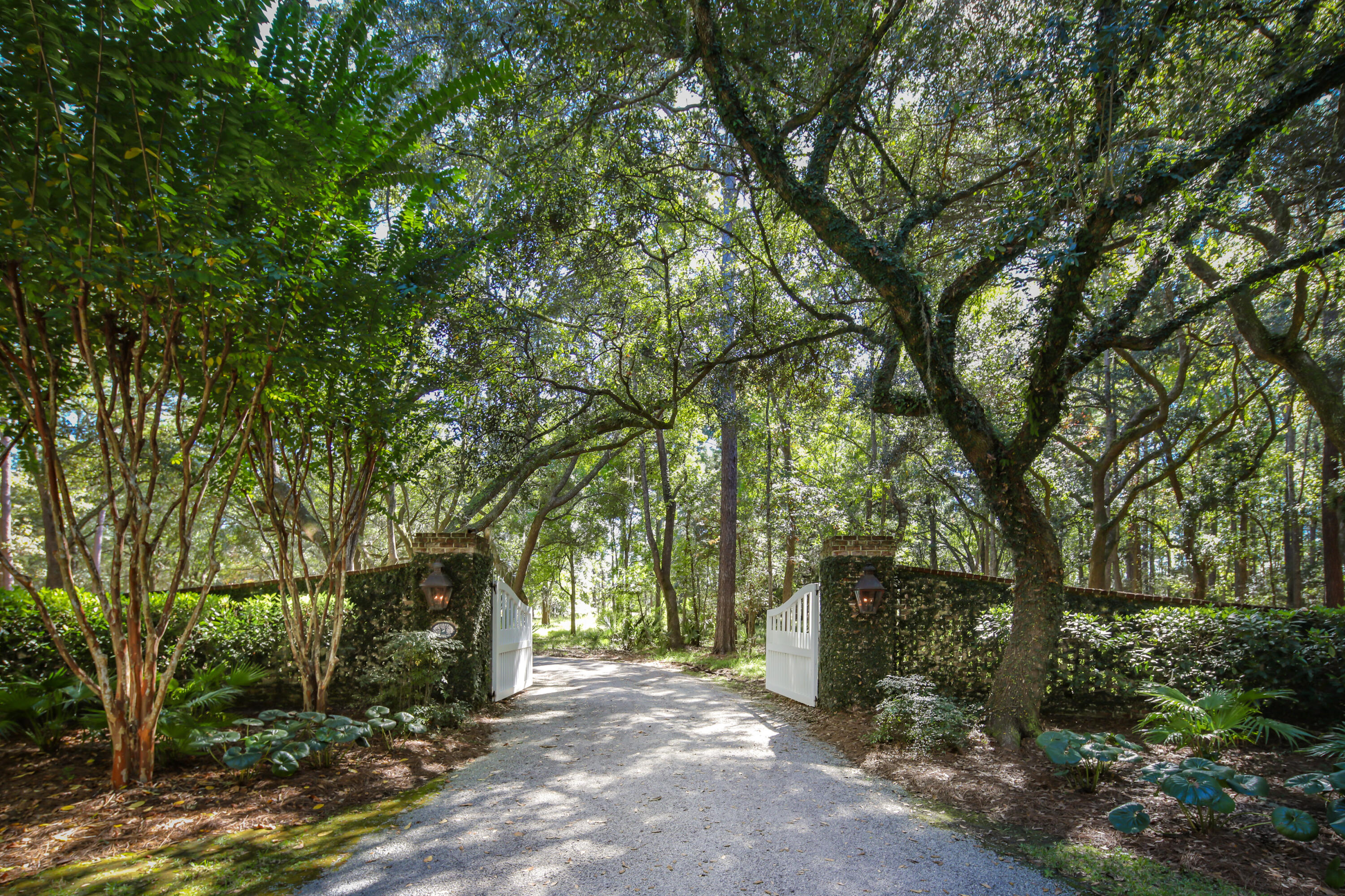 4458 Park Island Road Meggett, SC 29449 - Photo 2 of 50 4458ParkIsland-KeenEye-007
