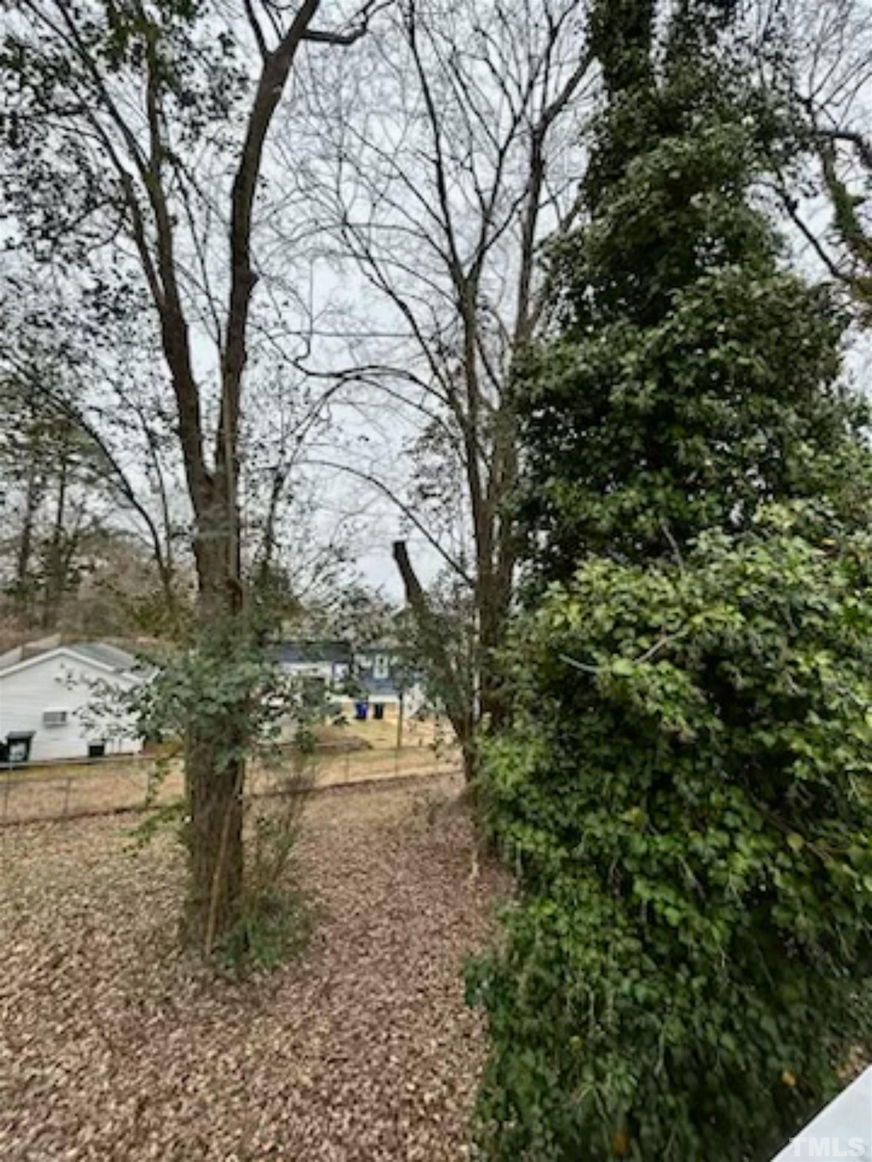 1717 Bennett Street Raleigh, NC 27604 - Photo 15 of 15 a view of a yard with trees