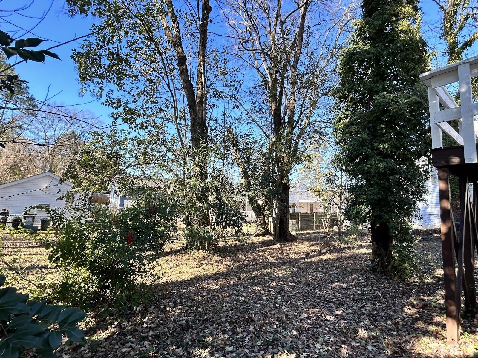 1717 Bennett Street Raleigh, NC 27604 - Photo 3 of 15 a view of a tree in the middle of a forest