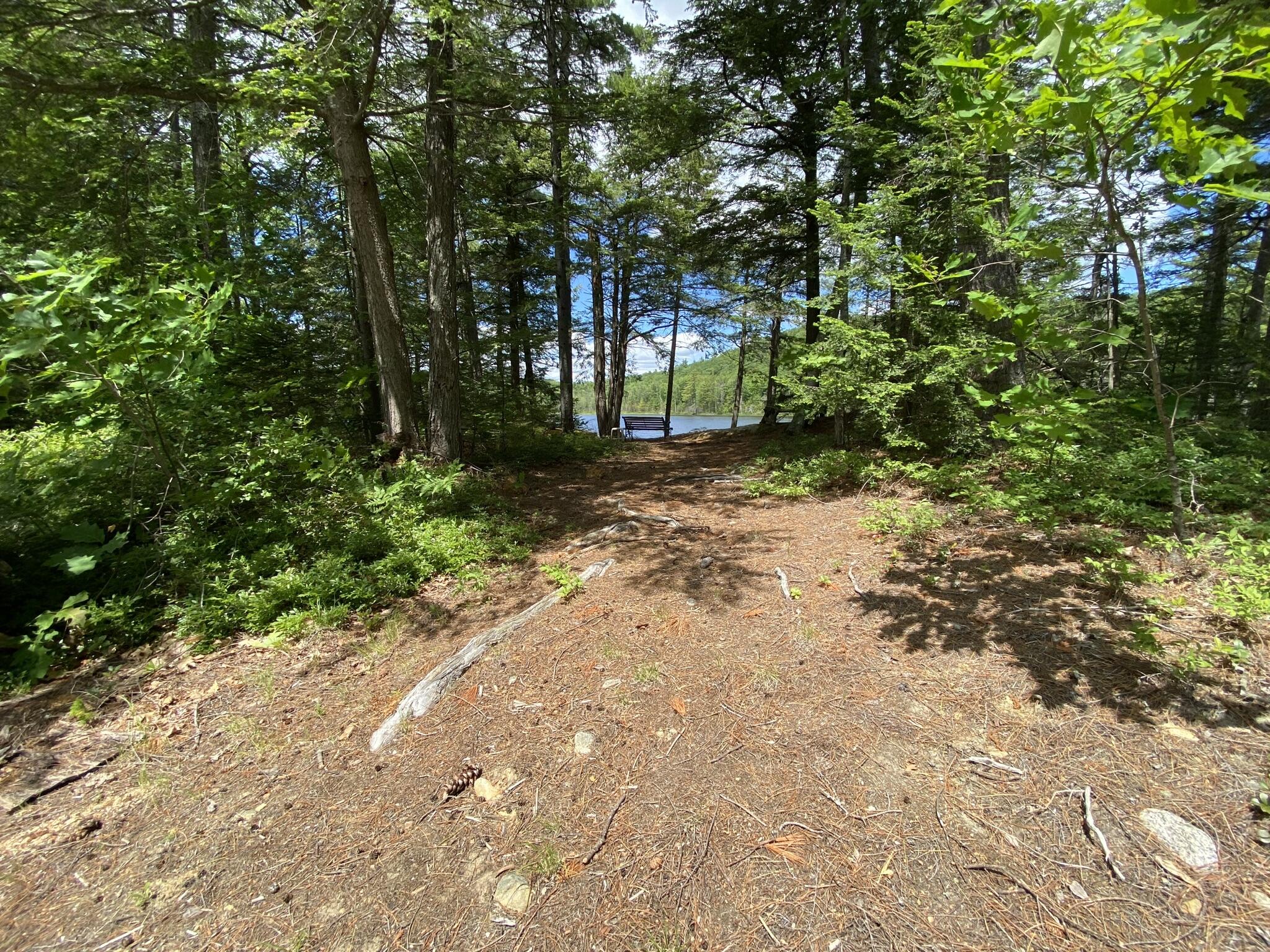 346 Bradeen Road Sumner, ME 04292 - Photo 10 of 51 IMG_2896