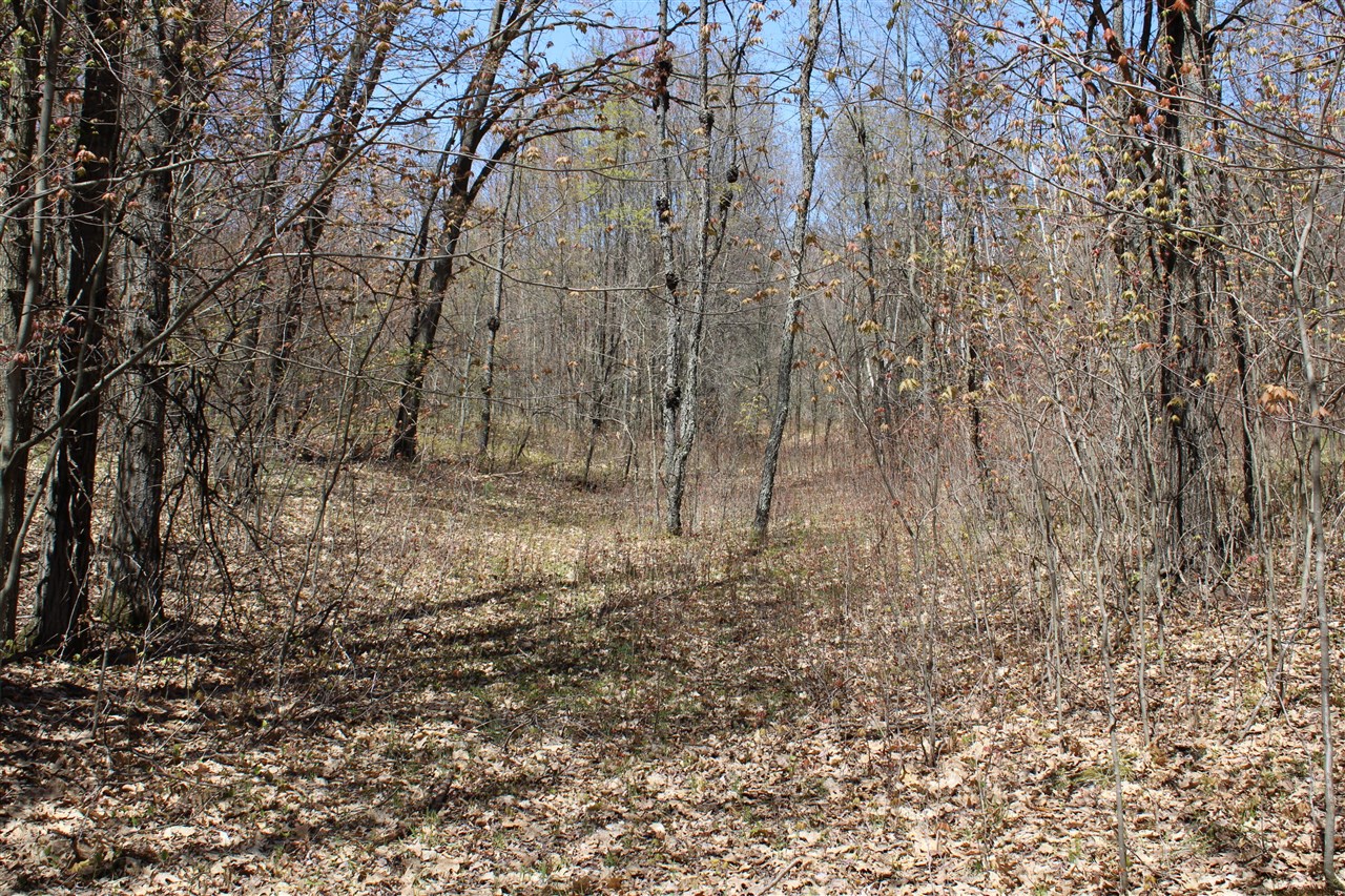 11401 Little George Lake Road Gladwin, MI 48624 - Photo 51 of 72