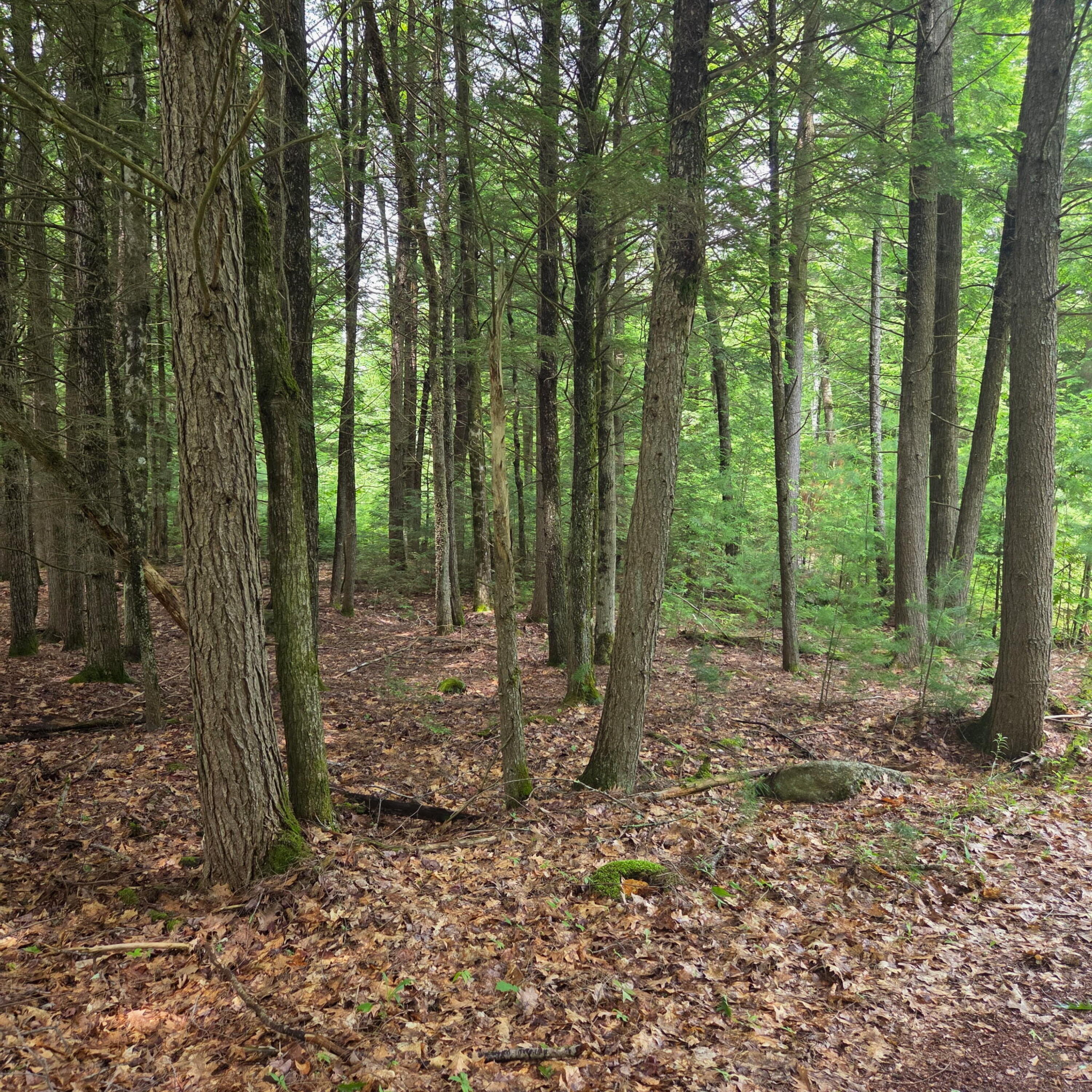 250 Smithfield Road Belgrade, ME 04917 - Photo 31 of 36 20260622_121501