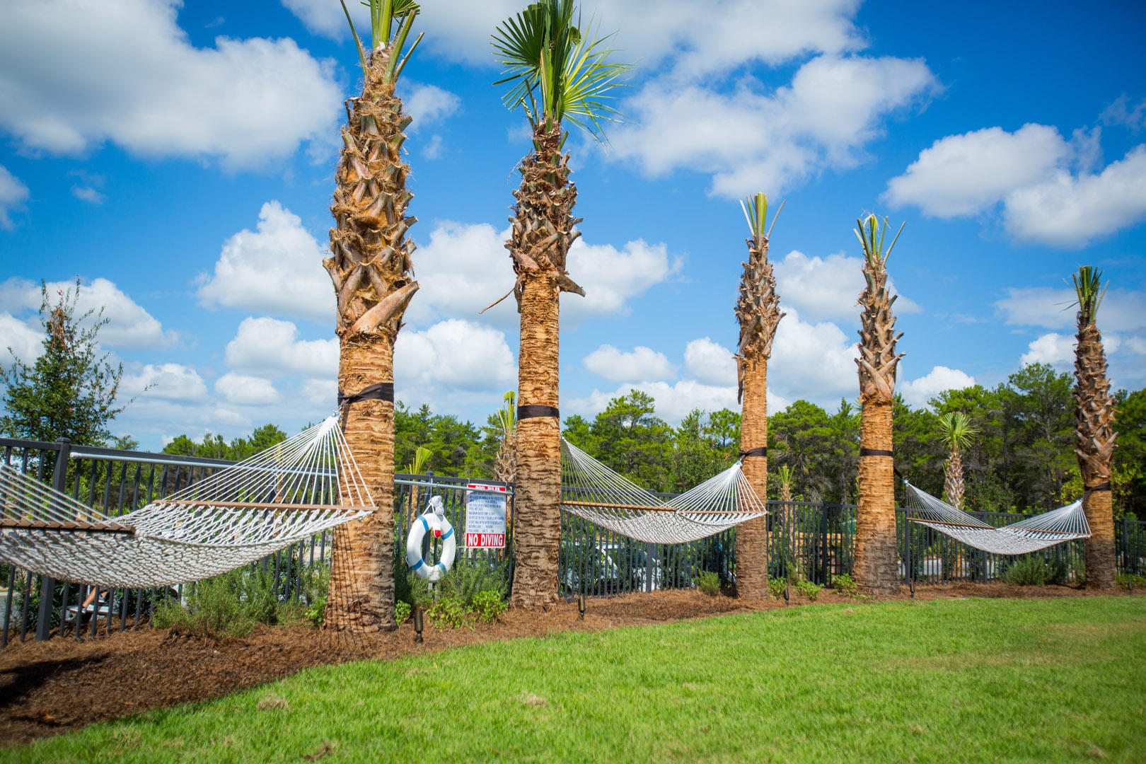 75 York Lane, Unit 245 Inlet Beach, FL 32461 - Photo 41 of 41 a view of a garden with a fountain and wooden fence