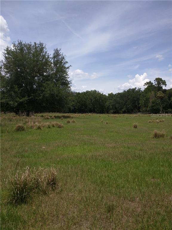 1540 Thompson Road Lithia, FL 33547 - Photo 1 of 1 Gallery Image 1