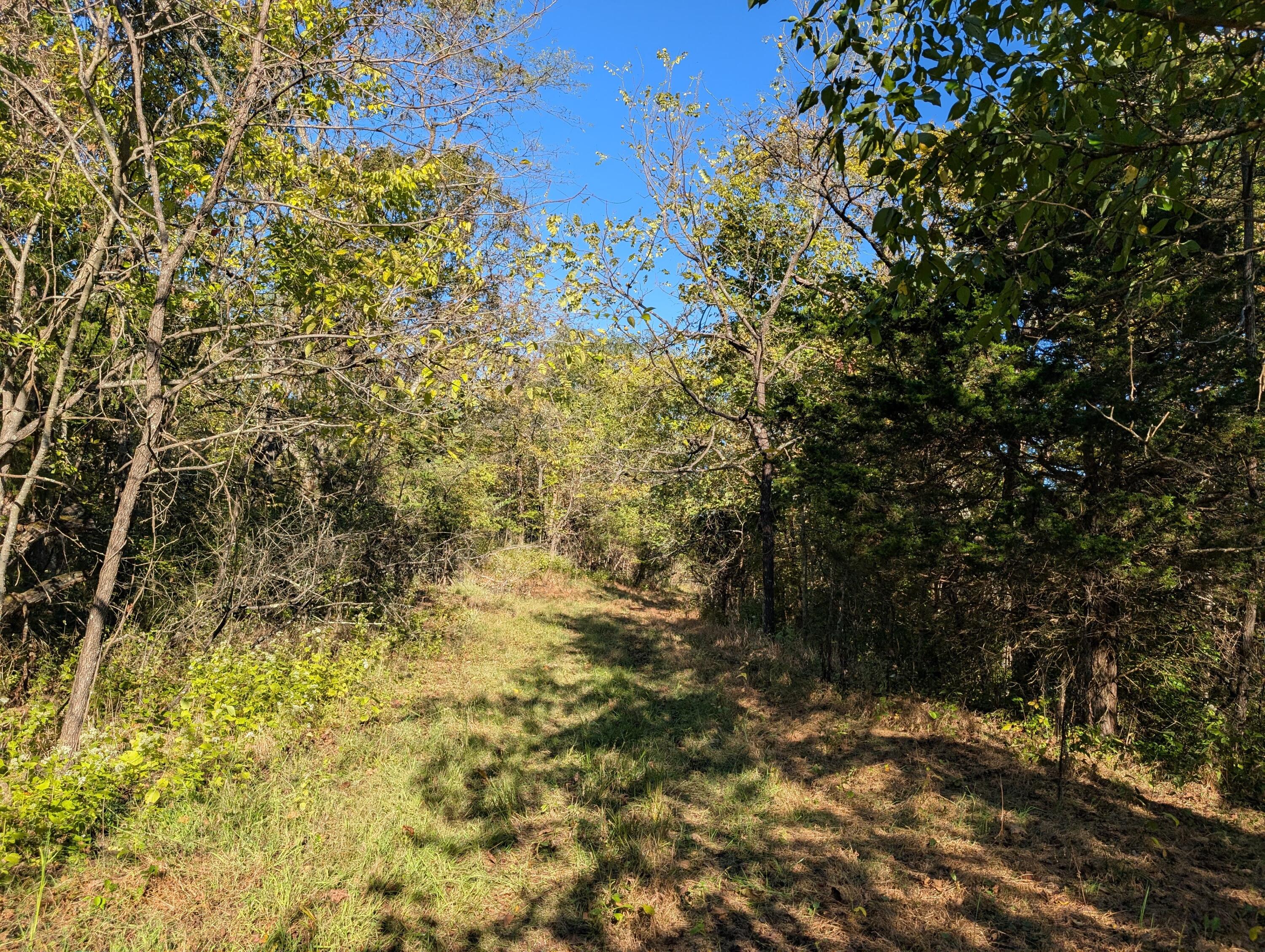 1600 Garnett Road Carlisle, KY 40311 - Photo 9 of 15 PXL_20251009_202651369