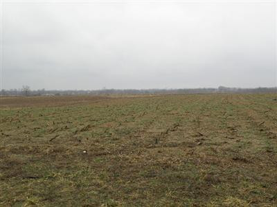 2 Vigo Road Shelbyville, KY 40065 - Photo 2 of 3 Photo 2